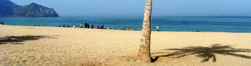 Beach Palm, UAE